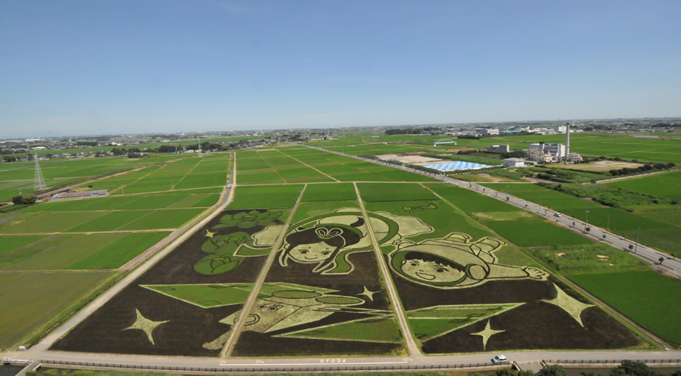 2015年にギネス世界記録に認定された田んぼアート。「未来へつなぐ古の軌跡」