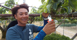 転勤がきっかけで農業へ転身（新潟）