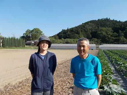 ご両親、次期後継者の小熊穂高さんらとともに農業に励む日々。