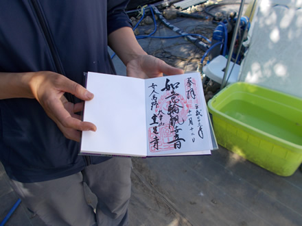 神社仏閣へ訪れた際には、必ず御朱印をいただきます。