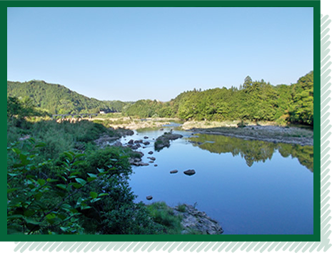 お気に入りは、近所を流れる名張川の景色。桜が植えられた川沿いは、春になると見事な眺めです。