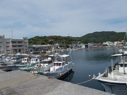 佐賀関漁港。大分県と愛媛県との間にある豊予海峡は、「速吸の瀬戸」と呼ばれる急流で、好漁場として知られる。