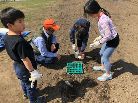 大人と子どもが集まって畑での作業を体験できる。