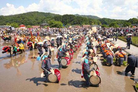 壬生(みぶ)の花田植