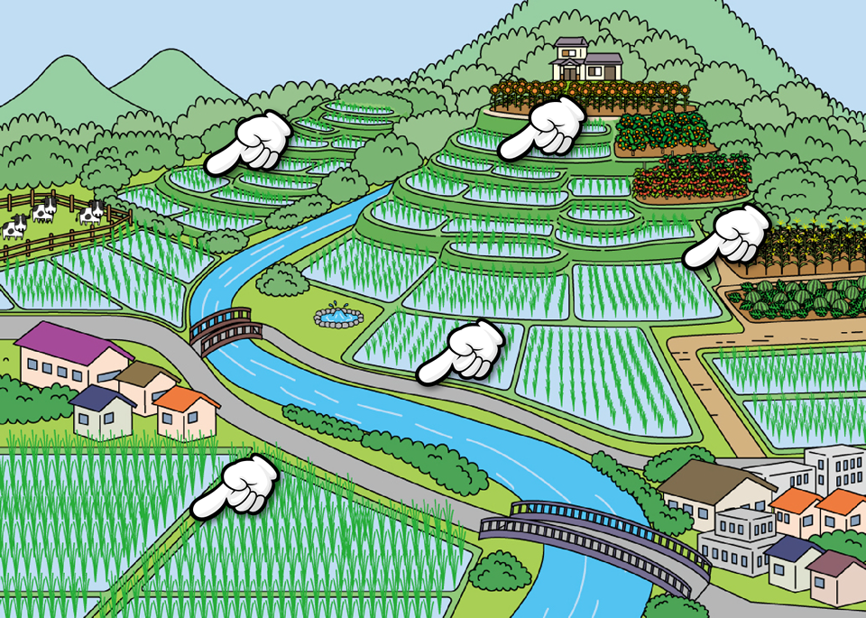特集２ 農業のめぐみ