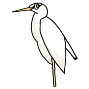 サギ