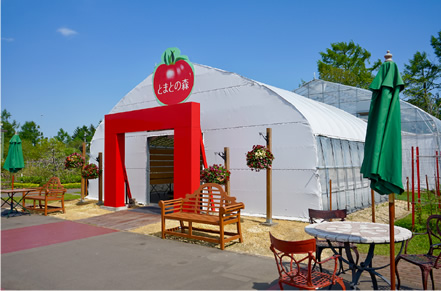 「とまとの森」の入口。大きなハウスの中で、世界一のトマトの木が育てられている。