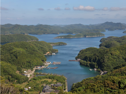 対馬は全島が国定公園に指定される自然豊かな島。