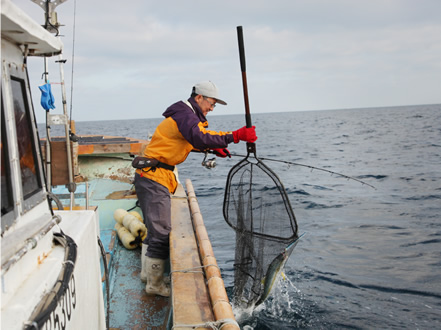 顧客から注文があったヒラマサを釣り上げた越智さん。