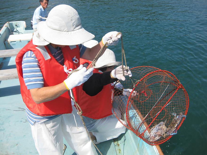 上ノ加江のカニかご体験の様子。