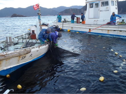 錦漁師塾短期研修での刺し網漁講習。