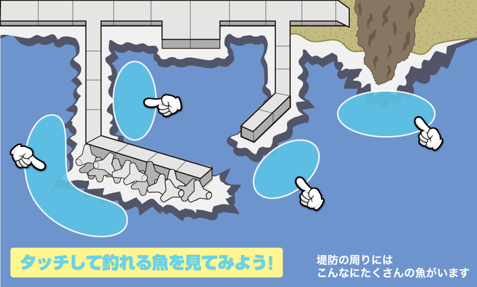 夏に釣れる魚の一般的な例。地域や気候などで変わります。