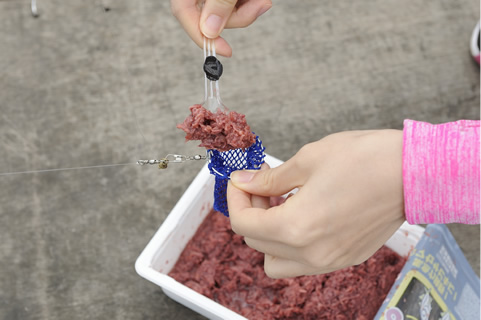 エサをコマセ袋にスプーンなどで押し込むように詰める。溢れるくらい入れても大丈夫。