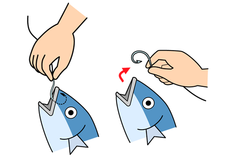 針が口元に刺さっている場合は、魚を押さえながら、針の根元を持ち、針が刺さっている方向と逆向きに力を入れると外れる。
