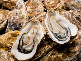 カキ類の収獲量は広島県が全国1位（2017年）。