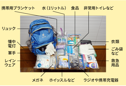 「非常用持ち出し袋」の一例。
