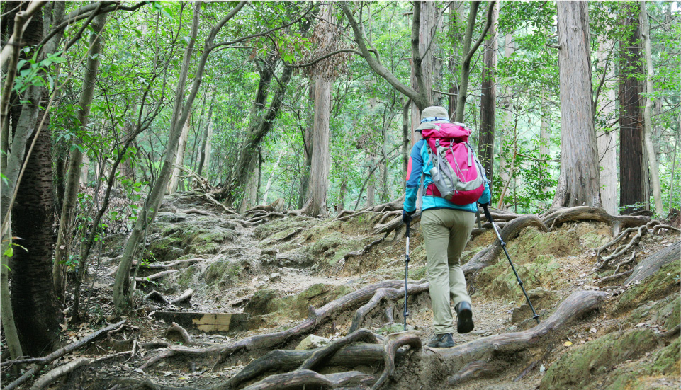 はじめての山歩き［服装・道具準備編］