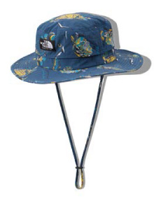 THE NORTH FACE Novelty Horizon Hat