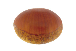 銀寄（丹波栗）