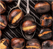 読者アンケート:集計結果