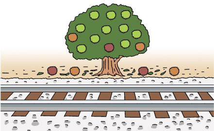 栗の木は枕木に利用されていた