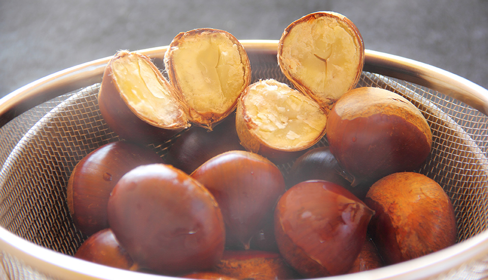 特集2 栗を食べよう