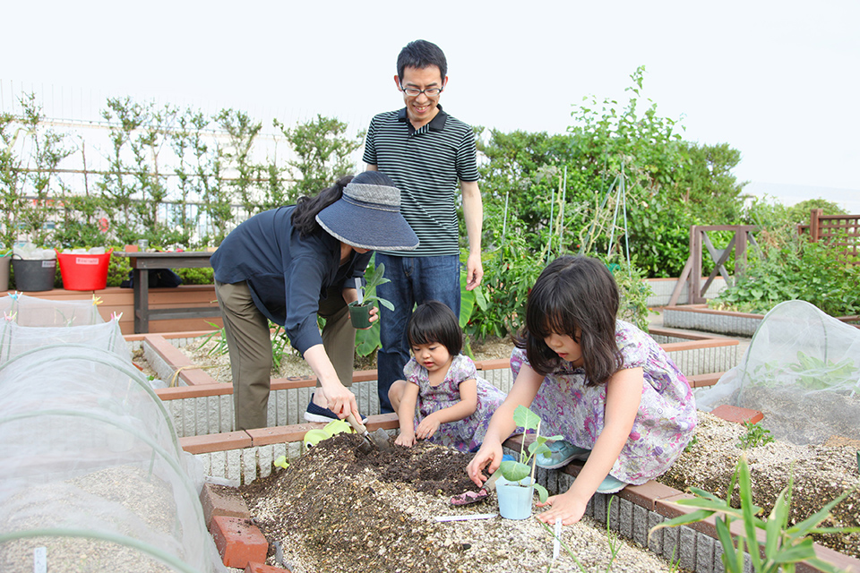 菜園「ソラドファーム恵比寿」