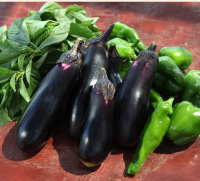 収穫したての野菜