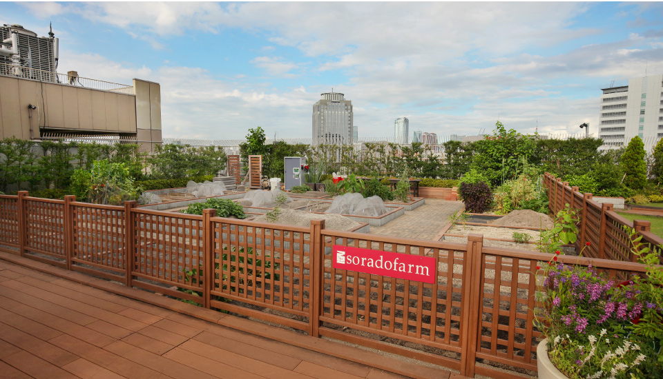 身近な農園を利用してみた①