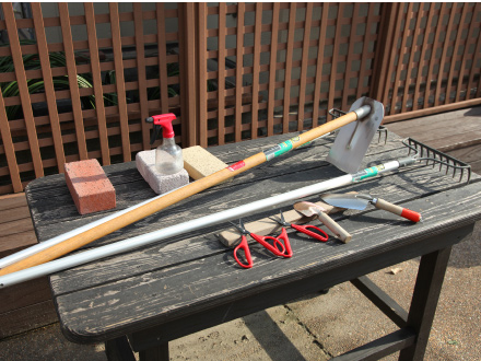 的確なアドバイスを受けられる