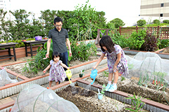 柴田哲（さとし）さん