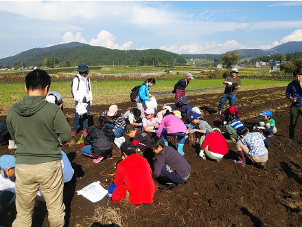 スターランドさかだに
