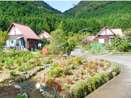 フロイデン八千代