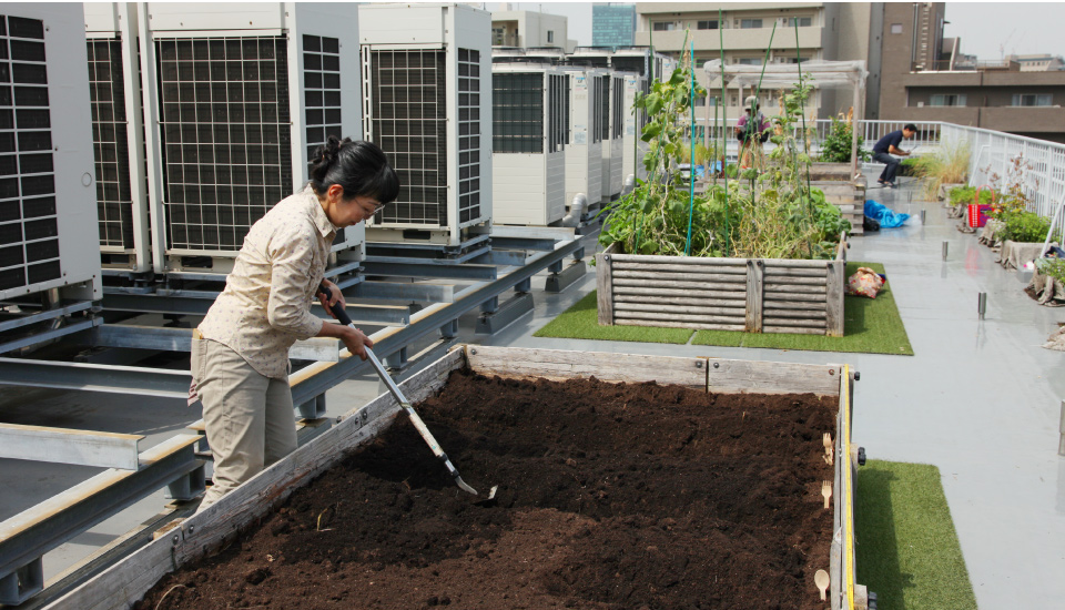 渋谷の街中で追求する農業の可能性
