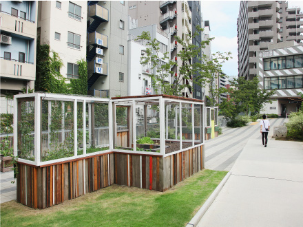 渋谷川沿いの遊歩道「渋谷BRIDGE」に設置したコンパクトな畑「リバーストリートファーム」