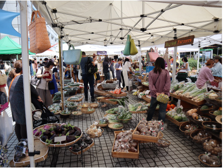 国際連合大学正面広場で開催される「青山ファーマーズマーケット」