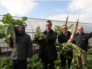 区内の農地で行った練馬大根の収穫体験