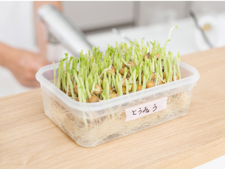 日当たりの良い場所に置く