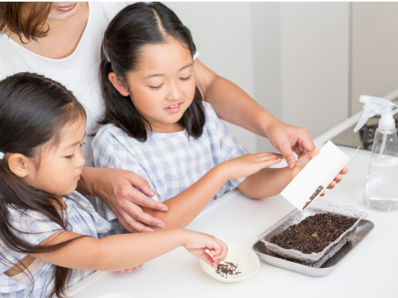 種を「ばらまき」