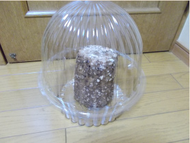 栽培容器に設置