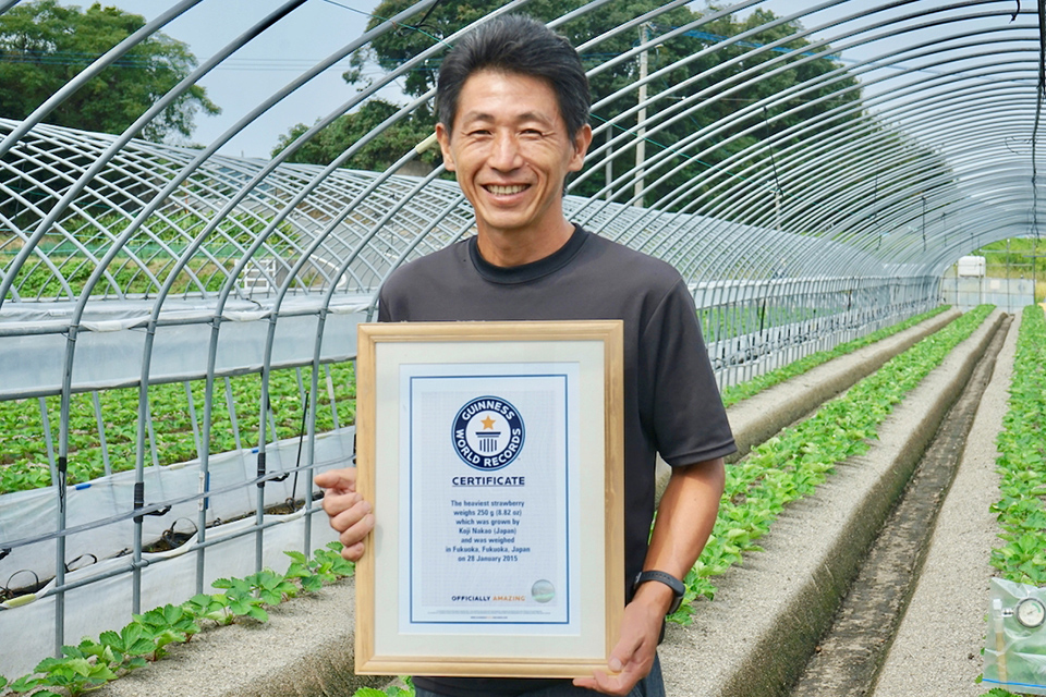 1983年以来、32年ぶりに「世界一重いいちご」のギネス世界記録を更新した中尾浩二さん。「特別なことは何もやっていませんが、自分がこれだと思ったことは必ずやり遂げる気持ちは持ち続けています」