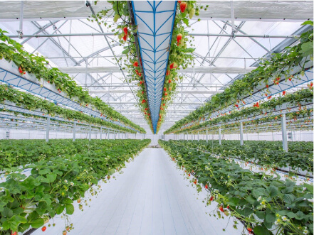 兵庫県 グリナリウム淡路島