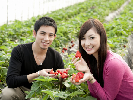 茨城県 深作農園