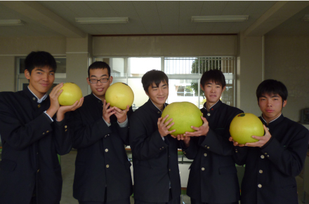 「世界で最も重いザボン類」として、ギネス世界記録に認定されている晩白柚（右から2番目）。通常の晩白柚（左）と比較すると、2倍近いサイズ感（ギネス世界記録認定当時の写真）。