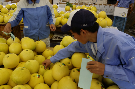 生徒たちが商品にシールを貼り、出荷作業を行う。全国から届く感謝の声が、何よりの喜びなのだそう。
