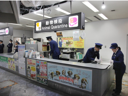 成田国際空港第1ターミナルの税関検査場の一角にある動物検疫のカウンターがある。