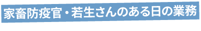 動物検疫官・若生さんのある日の業務