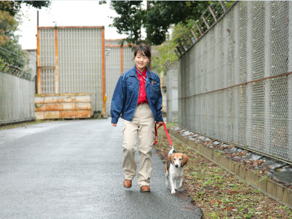 朝の食事の後、散歩するのが日課。