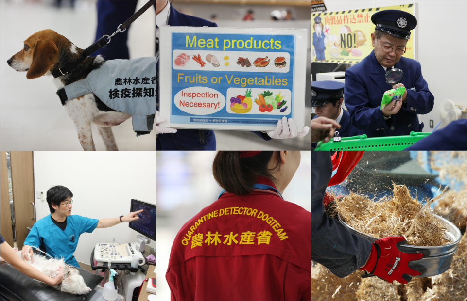 病気から動植物を守る