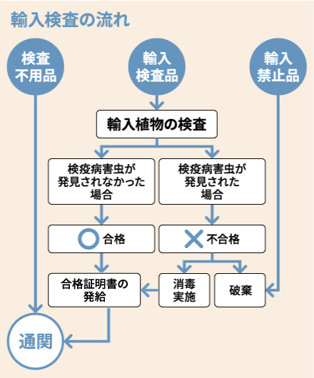 輸入検査の流れ